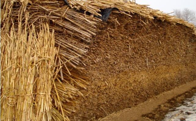 秸稈燃料顆粒機(jī)原料秸稈 秸稈燃料顆粒機(jī)原料秸稈