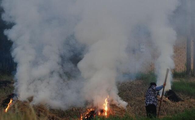 農作物秸稈露天禁燒和綜合利用 農作物秸稈露天禁燒和綜合利用