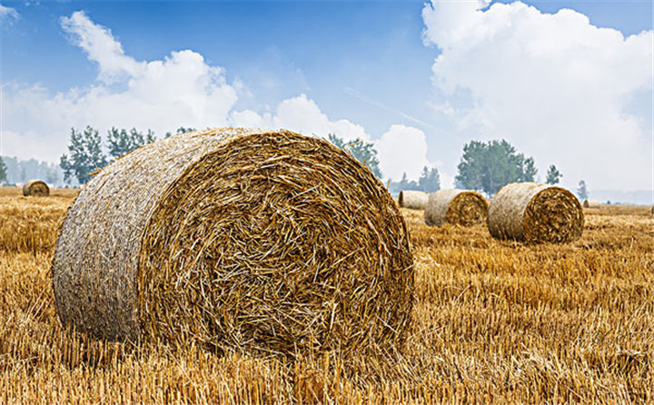  每一臺穩定可靠的玉米秸稈顆粒機背后，是一個優秀負責任的顆粒機廠家！