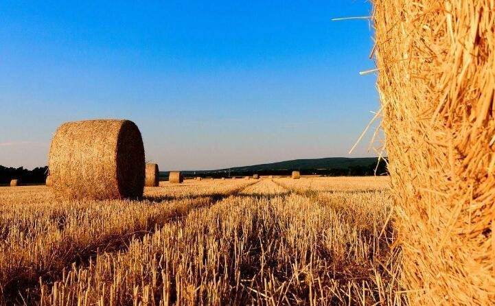 稻殼的新出路---秸稈顆粒機之燃料顆粒