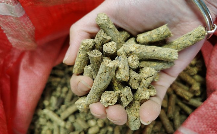 秸稈飼料 秸稈飼料