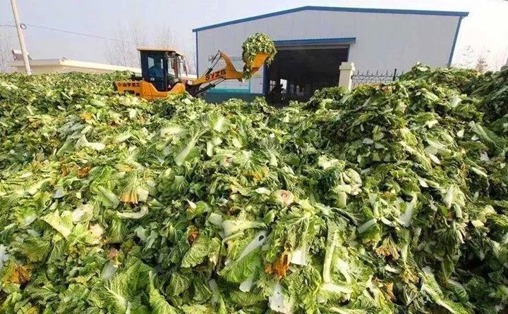 臨澤有招,變廢為寶,實現(xiàn)了秸稈、尾菜、畜禽糞便等廢棄物的“飼料化、菌料化、肥料化、燃料化”