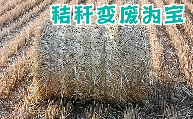 有5點秸稈處理措施活躍在市場上 有5點秸稈處理措施活躍在市場上