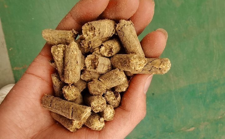 秸稈飼料顆粒機(jī)提高秸稈利用率,飼料顆粒機(jī)是以玉米、豆粕、秸稈、草、稻殼等為原料,通過(guò)粉碎原料后直接壓制成顆粒的飼料加工機(jī)械。 秸稈飼料顆粒機(jī)提高秸稈利用率,飼料顆粒機(jī)是以玉米、豆粕、秸稈、草、稻殼等為原料,通過(guò)粉碎原料后直接壓制成顆粒的飼料加工機(jī)械。