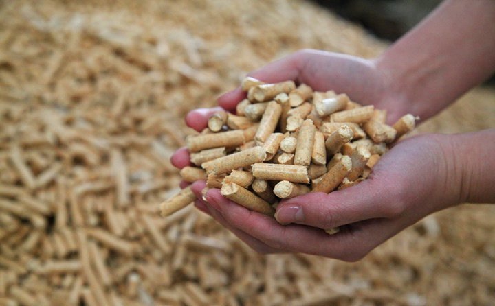 今年吉林省推動秸稈原料化、燃料化、肥料化、飼料化和基料化模式綜合利用?！敖斩捀锩闭谏羁谈淖兘衲甑那锸展ぷ?/></p><p>村民和東晟家庭農場的交易是上述變化的注腳。“我家主要做秸稈回收業務?！?8歲的農場經理孔范有介紹，該農場涉足粉碎、焚燒、飼料，直至高端生物飼料等業務。</p><p>孔范最近輾轉于各村，他在運輸秸稈時，還會教授村民如何晾曬，讓雙方的合作更有效率。這個秋天，該農場和附近四個村落簽訂了訂單，1700公頃秸稈意味著處理能力的躍升?！爸?農場)只能處理幾千噸，今年大概處理2萬噸左右。”</p><p>吉林市官方數據顯示，當地秸稈產量約為600多萬噸，今年預計實現秸稈綜合利用235.66萬噸?！耙活^肉牛每年消耗干秸稈2.88噸，按照(吉林市)存欄54萬頭計算，可消耗秸稈約156萬噸。”吉林市農業農村局綜合處副處長王菁龍說，目前來看，秸稈在當地的發展前景非常廣闊。</p><p><br/></p><div   id=