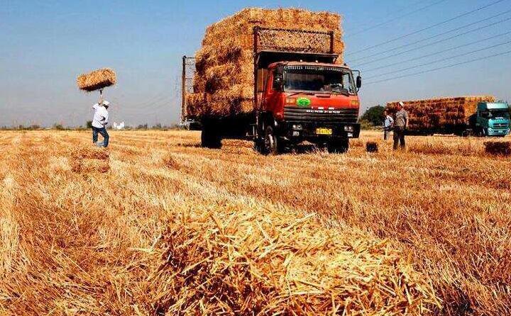 秸稈燃料化離田利用 秸稈燃料化離田利用