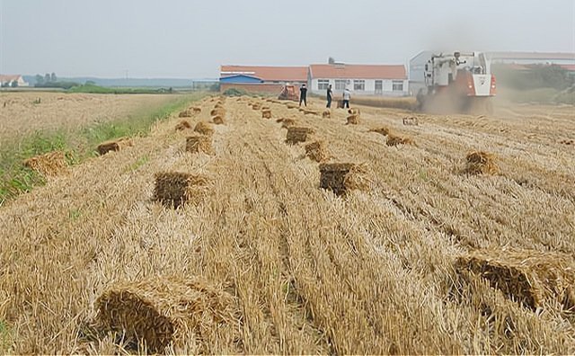 秸稈綜合利用 秸稈綜合利用