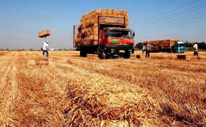 浙江寧波秸稈利用 浙江寧波秸稈利用