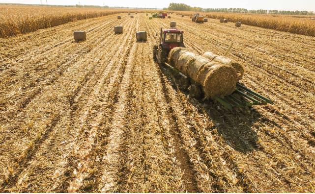 姜堰秸稈變廢為寶 姜堰秸稈變廢為寶