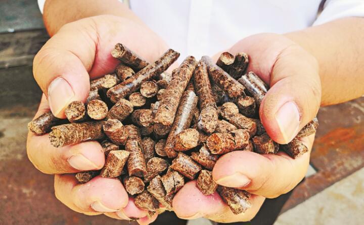 “添火加薪” 秸稈變寶“發光發熱” “添火加薪” 秸稈變寶“發光發熱”