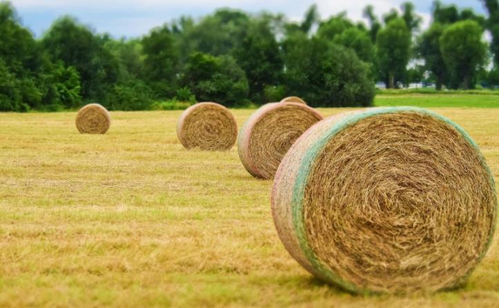 浙江省經濟騰飛與秸稈利用相得益彰 浙江省經濟騰飛與秸稈利用相得益彰